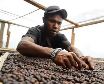 Menyeduh Asa di Ketinggian Bandung: Kisah Para Petani Kopi Milenial yang Menembus Pasar Dunia 46 https://nationalgeographic.grid.id/read/131948261/kopi-tiom-memunguti-yang-diabaikan