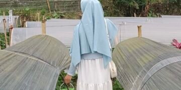 62f8d186 4ff6 4c8c ad6c 0e4791e04528