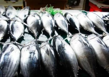 Suasana Pasar Ikan Ranai di Bunguran Timur, Natuna. (Dok. Istimewa)