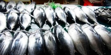 Suasana Pasar Ikan Ranai di Bunguran Timur, Natuna. (Dok. Istimewa)
