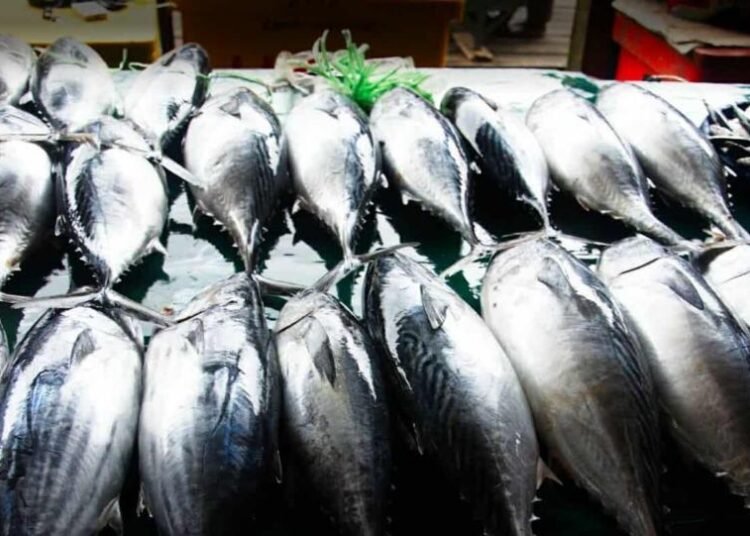 Warga Minta KKP Segera Realisasikan Pembangunan Pasar Ikan Ranai di Natuna 46 Suasana Pasar Ikan Ranai di Bunguran Timur, Natuna. (Dok. Istimewa)