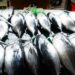 Suasana Pasar Ikan Ranai di Bunguran Timur, Natuna. (Dok. Istimewa)
