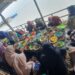 IMG 20250815 WA0021