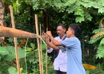 Banda Naira, INFO_PAS – Lembaga Pemasyarakatan (Lapas) Kelas III Bandanaira terus berkomitmen menghadirkan program pembinaan yang bermanfaat bagi Warga Binaan, khususnya dalam membekali mereka dengan keterampilan kemandirian. ‎ ‎Salah satu kegiatan yang rutin dilakukan adalah kegiatan bercocok tanam. Kali ini, Kepala Subseksi Pembinaan, Rustam Kasoor, memberikan edukasi tentang cara menanam mentimun dengan memanfaatkan teknik berkebun tradisional yang sederhana namun tetap efektif. ‎ ‎Dalam kegiatan yang digelar di lahan perkebunan luar Lapas, Rustam Kasoor menjelaskan tahapan penting, mulai dari pengolahan tanah secara manual, pemilihan bibit unggul, hingga cara menanam yang tepat. Beliau menekankan bahwa meski menggunakan cara tradisional, jika dilakukan dengan tekun dan benar, maka hasil panen dapat maksimal dan memberikan manfaat besar bagi Warga Binaan maupun Lapas. ‎ ‎"Metode berkebun tradisional memiliki kelebihan tersendiri, di antaranya ramah lingkungan, hemat biaya, serta mudah diterapkan meskipun dengan peralatan yang terbatas. Dengan cara ini, Warga Binaan diharapkan dapat menguasai keterampilan bercocok tanam yang dapat menjadi bekal setelah bebas nanti," ungkapnya, Sabtu (30/8). ‎ ‎Kepala Lapas Bandanaira, Mikha, menambahkan bahwa kegiatan bercocok tanam merupakan salah satu bentuk nyata dukungan terhadap program ketahanan pangan dan pembinaan kemandirian bagi Warga Binaan. ‎ ‎"Melalui kegiatan seperti ini, kami berharap Warga Binaan tidak hanya mengisi waktu dengan kegiatan positif, tetapi juga memperoleh ilmu yang dapat mereka manfaatkan untuk kehidupan yang lebih baik setelah kembali ke masyarakat,” ujarnya. ‎ ‎Sementara itu, Kepala Kantor Wilayah Direktorat Jenderal Pemasyarakatan Maluku, Ricky Dwi Biantoro, turut mengapresiasi langkah yang dilakukan Lapas Bandanaira. ‎ ‎"Kami sangat mendukung inisiatif pembinaan yang berbasis keterampilan seperti ini. Edukasi berkebun tradisional bukan hanya menumbuhkan semangat kemandirian, tetapi juga menanamkan nilai kerja keras dan tanggung jawab. Hal ini sejalan dengan visi pemasyarakatan yang ingin membentuk warga binaan menjadi pribadi yang lebih baik dan siap kembali ke masyarakat dengan bekal yang bermanfaat,” ujarnya. ‎ ‎Dengan adanya edukasi berkebun ini, Lapas Bandanaira berupaya mencetak Warga Binaan yang produktif, berdaya guna, dan siap untuk mandiri. Program ini sekaligus membuktikan bahwa Lapas tidak hanya sebagai tempat menjalani pidana, tetapi juga sebagai wadah pembinaan menuju perubahan diri yang lebih baik.