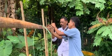 Banda Naira, INFO_PAS – Lembaga Pemasyarakatan (Lapas) Kelas III Bandanaira terus berkomitmen menghadirkan program pembinaan yang bermanfaat bagi Warga Binaan, khususnya dalam membekali mereka dengan keterampilan kemandirian. ‎ ‎Salah satu kegiatan yang rutin dilakukan adalah kegiatan bercocok tanam. Kali ini, Kepala Subseksi Pembinaan, Rustam Kasoor, memberikan edukasi tentang cara menanam mentimun dengan memanfaatkan teknik berkebun tradisional yang sederhana namun tetap efektif. ‎ ‎Dalam kegiatan yang digelar di lahan perkebunan luar Lapas, Rustam Kasoor menjelaskan tahapan penting, mulai dari pengolahan tanah secara manual, pemilihan bibit unggul, hingga cara menanam yang tepat. Beliau menekankan bahwa meski menggunakan cara tradisional, jika dilakukan dengan tekun dan benar, maka hasil panen dapat maksimal dan memberikan manfaat besar bagi Warga Binaan maupun Lapas. ‎ ‎"Metode berkebun tradisional memiliki kelebihan tersendiri, di antaranya ramah lingkungan, hemat biaya, serta mudah diterapkan meskipun dengan peralatan yang terbatas. Dengan cara ini, Warga Binaan diharapkan dapat menguasai keterampilan bercocok tanam yang dapat menjadi bekal setelah bebas nanti," ungkapnya, Sabtu (30/8). ‎ ‎Kepala Lapas Bandanaira, Mikha, menambahkan bahwa kegiatan bercocok tanam merupakan salah satu bentuk nyata dukungan terhadap program ketahanan pangan dan pembinaan kemandirian bagi Warga Binaan. ‎ ‎"Melalui kegiatan seperti ini, kami berharap Warga Binaan tidak hanya mengisi waktu dengan kegiatan positif, tetapi juga memperoleh ilmu yang dapat mereka manfaatkan untuk kehidupan yang lebih baik setelah kembali ke masyarakat,” ujarnya. ‎ ‎Sementara itu, Kepala Kantor Wilayah Direktorat Jenderal Pemasyarakatan Maluku, Ricky Dwi Biantoro, turut mengapresiasi langkah yang dilakukan Lapas Bandanaira. ‎ ‎"Kami sangat mendukung inisiatif pembinaan yang berbasis keterampilan seperti ini. Edukasi berkebun tradisional bukan hanya menumbuhkan semangat kemandirian, tetapi juga menanamkan nilai kerja keras dan tanggung jawab. Hal ini sejalan dengan visi pemasyarakatan yang ingin membentuk warga binaan menjadi pribadi yang lebih baik dan siap kembali ke masyarakat dengan bekal yang bermanfaat,” ujarnya. ‎ ‎Dengan adanya edukasi berkebun ini, Lapas Bandanaira berupaya mencetak Warga Binaan yang produktif, berdaya guna, dan siap untuk mandiri. Program ini sekaligus membuktikan bahwa Lapas tidak hanya sebagai tempat menjalani pidana, tetapi juga sebagai wadah pembinaan menuju perubahan diri yang lebih baik.