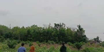 IMG20250812113959