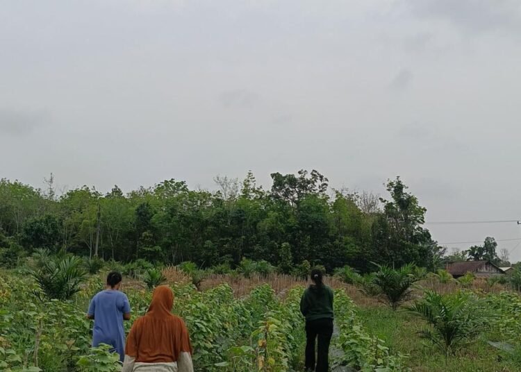 IMG20250812113959