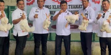 Ketahanan Pangan