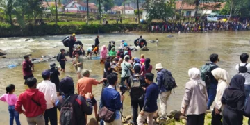 cibuluh