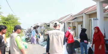 IMG 4962