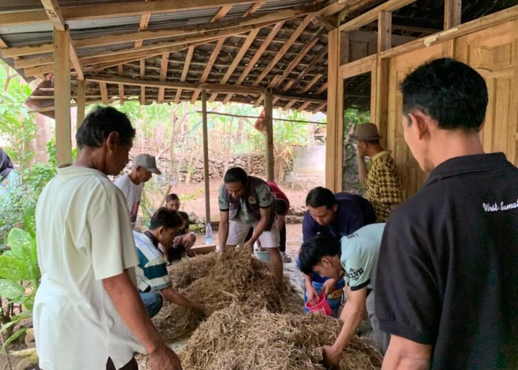 Proses pembuatan silase dan fermentasi di Padukuhan Dlingo 1, Dusun Dlingo, Kab. Bantul, Daerah Istimewa Yogyakarta. Sosialisasi ini dilaksanakan pada Minggu (03/08/2025). (doc. KKN-PPM 04 UMBY)