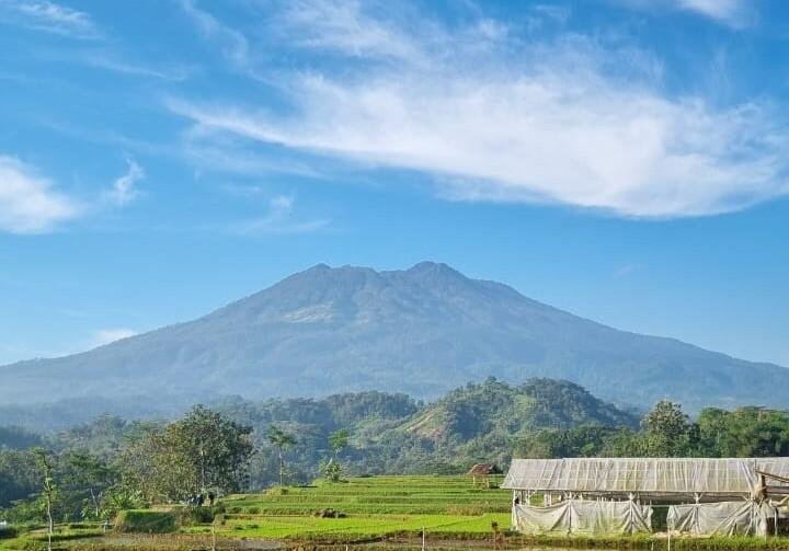 Dari Sukorejo untuk Nusantara : Kisah Sukses Padi Organik 46 WhatsApp Image 2025 08 13 at 7.06.18 PM