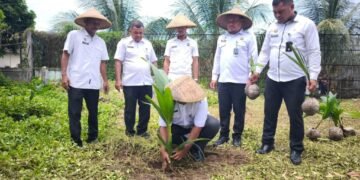 Jajaran Lapas Ternate Tanam Bibit Pohon Kelapa