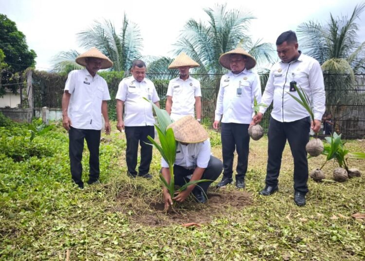 Jajaran Lapas Ternate Tanam Bibit Pohon Kelapa