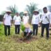 Jajaran Lapas Ternate Tanam Bibit Pohon Kelapa