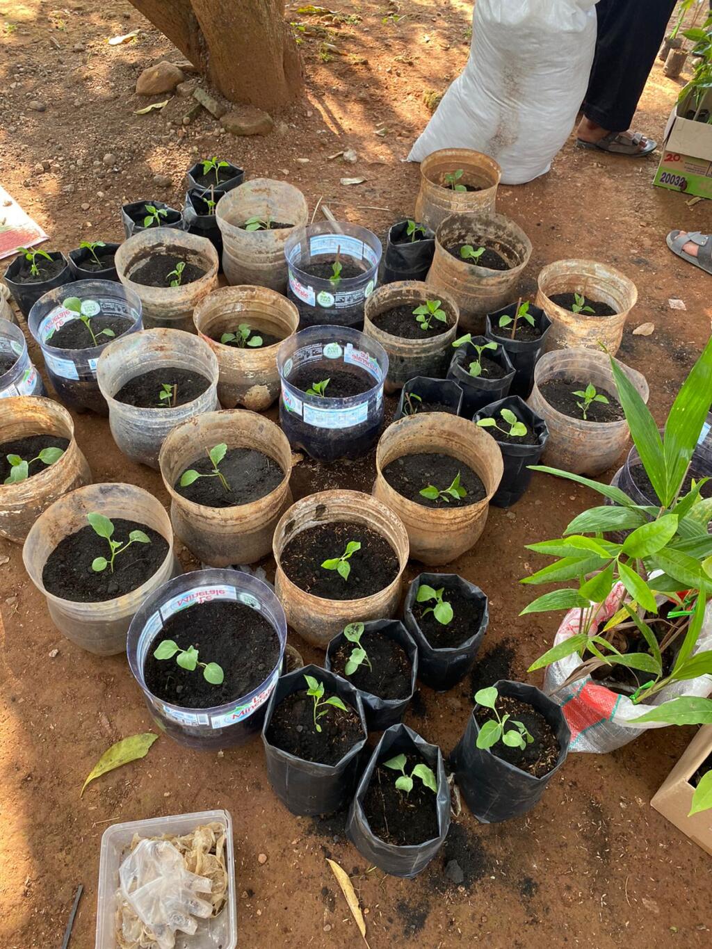 day30 37