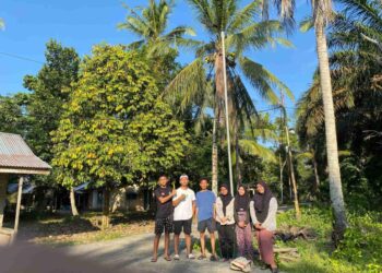 finising pemasangan lampu solar panel 11zon