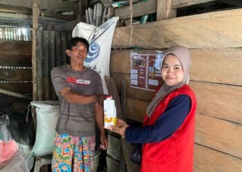 wina sapi