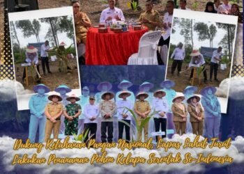 penanaman pohon kelapa serentak