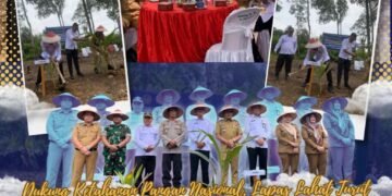 penanaman pohon kelapa serentak