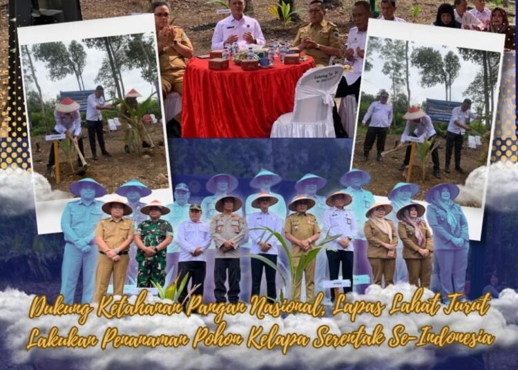 penanaman pohon kelapa serentak