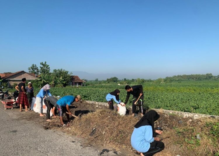 Jelang Karnaval Agustusan, Warga dan Mahasiswa KKN Desa Lebosari Kompak Bersihkan Pinggir Jalan 46 IMG 20250908 WA0011