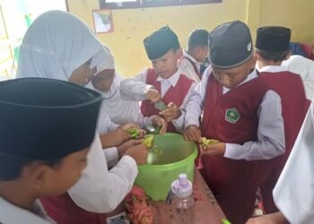 IMG 20250908 WA0032 1