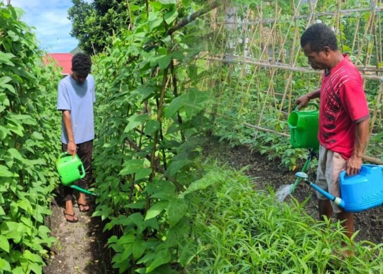 Lapas Bandanaira Dukung Ketahanan Pangan Lewat Budidaya Sayur Kacang Panjang dan Kangkung 46 IMG 20250908 WA0046