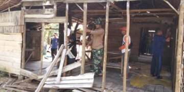 IMG 20250925 WA0112
