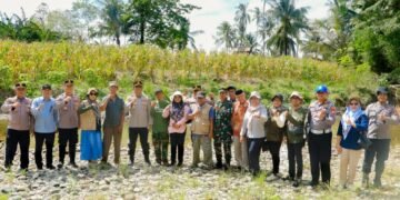 Polres Barru dampingi petani lewat program Ayo Tanam Jagung. Hasilnya? Ribuan ton jagung tersalurkan dengan harga kompetitif.