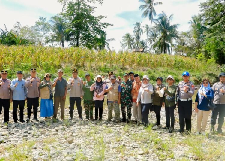 Polres Barru dampingi petani lewat program Ayo Tanam Jagung. Hasilnya? Ribuan ton jagung tersalurkan dengan harga kompetitif.