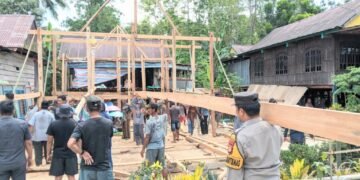 Bhabinkamtibmas Desa Palakka turun langsung memikul kayu bersama warga dalam prosesi Mappatettong Bola.