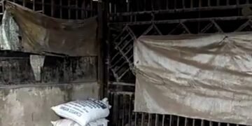 IMG 20250922 201323