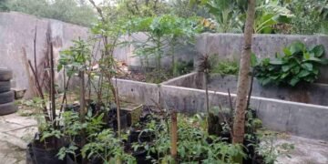 IMG 20250927 163425