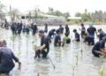 Penanaman Mangrove di Muara Gembong (Sumber: Dokumentasi SoBI UPER)