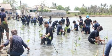 Penanaman Mangrove di Muara Gembong (Sumber: Dokumentasi SoBI UPER)