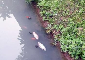 Air yang tercemar dan merusak ekosistem sungai