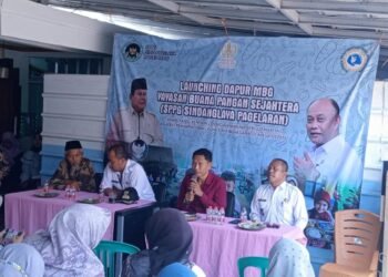 WhatsApp Image 2025 09 03 at 13.52.00