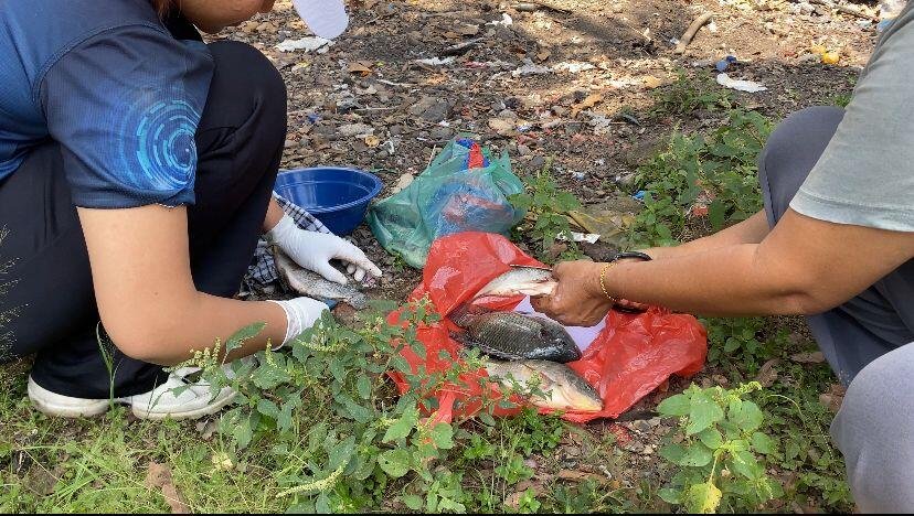 Potensi Kolam Ikan Jadi Inspirasi Mahasiswa Abdurrab Ciptakan Abon Ikan Nila 48 WhatsApp Image 2025 09 07 at 12.31.49 PM