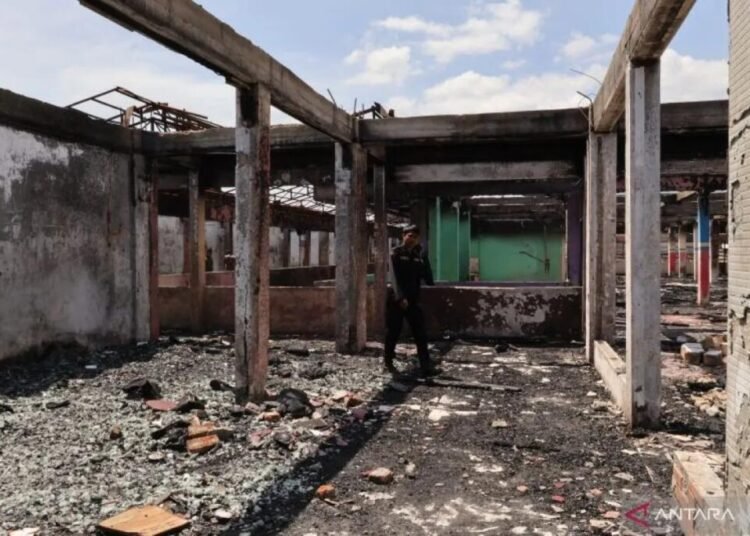 WhatsApp Image 2025 09 11 at 11.01.58