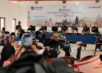 WhatsApp Image 2025 09 22 at 16.31.58