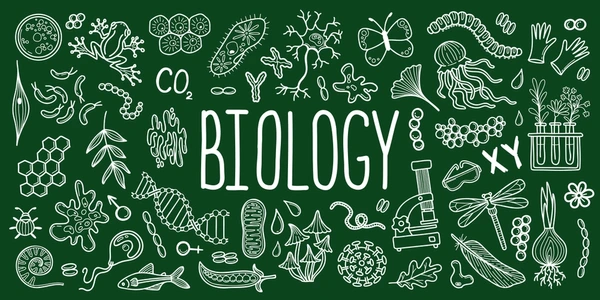 biology hand drawn chalk sketches 600nw 2600893235