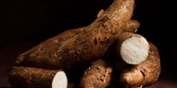 Sumber: https://yin.thp.unmul.ac.id/thp/wp-content/uploads/2022/10/manfaat-singkong-rebusjpg-20220418052649.jpg