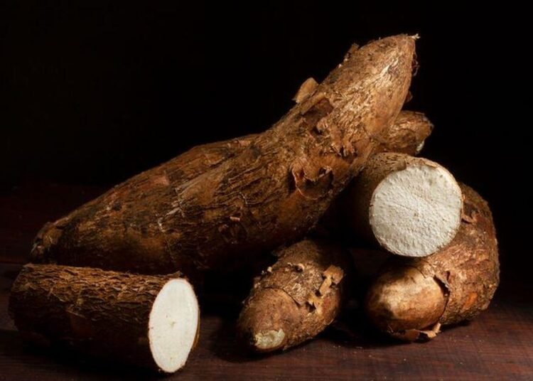 Singkong Rebus Lebih Mudah Dicerna daripada Keripik Singkong? Ini Alasannya. 46 Sumber: https://yin.thp.unmul.ac.id/thp/wp-content/uploads/2022/10/manfaat-singkong-rebusjpg-20220418052649.jpg