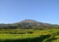 Tidak Dilelang! Pemerintah Pastikan Gunung Lawu Tidak Masuk Wilayah Kerja Panas Bumi 51 Gunung Lawu tidak dilelang