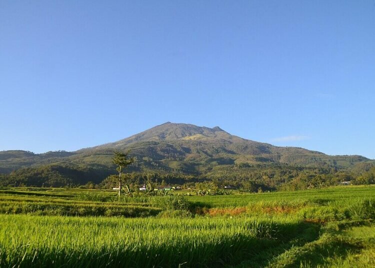 Tidak Dilelang! Pemerintah Pastikan Gunung Lawu Tidak Masuk Wilayah Kerja Panas Bumi 46 Gunung Lawu tidak dilelang