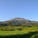 Tidak Dilelang! Pemerintah Pastikan Gunung Lawu Tidak Masuk Wilayah Kerja Panas Bumi 61 Gunung Lawu tidak dilelang