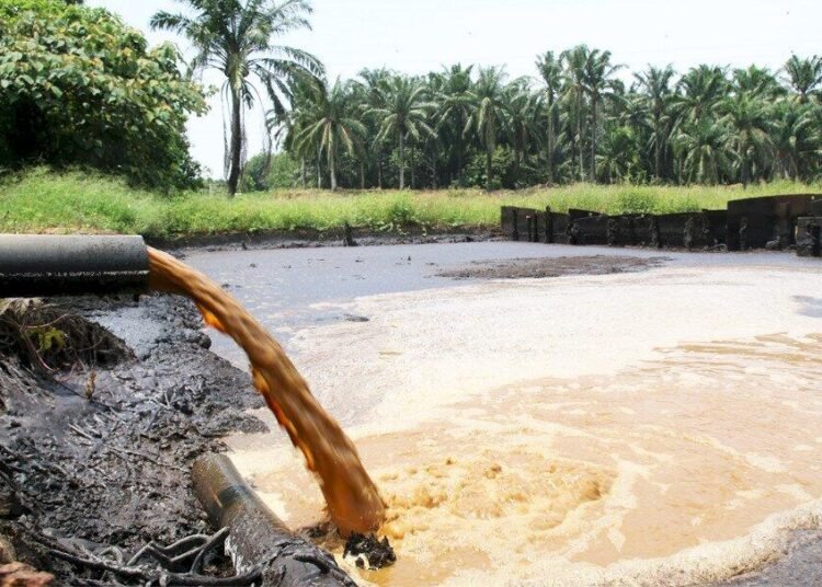 Pemantauan Limbah Perkebunan untuk Ekosistem Berkelanjutan 46 Limbah