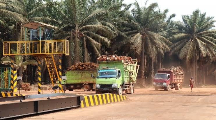 MSM Parking Group Hadirkan Palang Parkir Otomatis Terintegrasi Jembatan Timbang untuk Industri Perkebunan Sawit di Kalimantan & Sumatera 46 Parkir