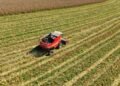 Agroindustri